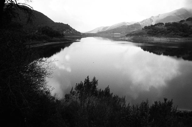 tranquilidad Naturaleza Blanco y Negro (Química)