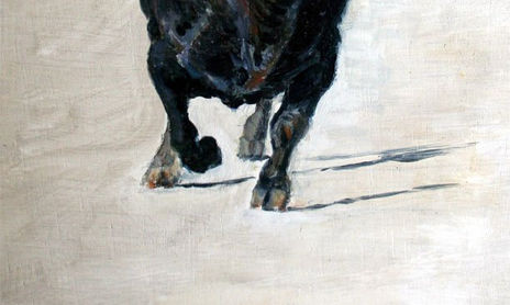 TAUROMAQUIA