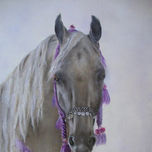 Caballos thumbnail 2