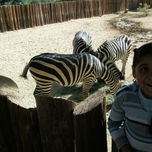 amigos y hermanos thumbnail 1