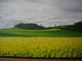 VERDE Y AMARILLO