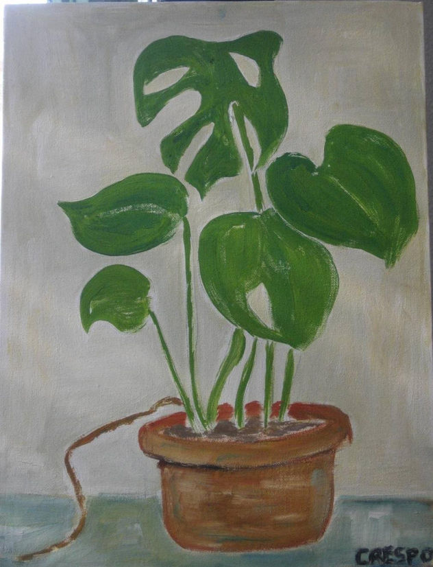 Planta en maceta de barro