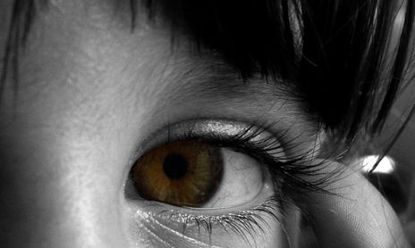 Vision