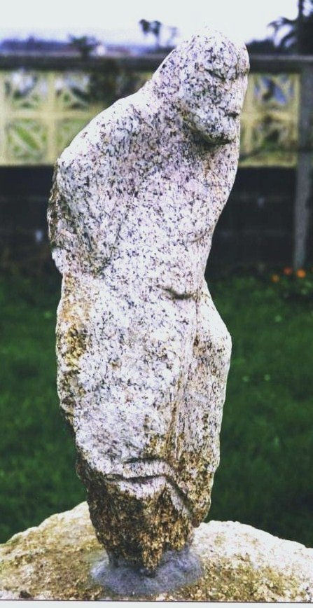 torso