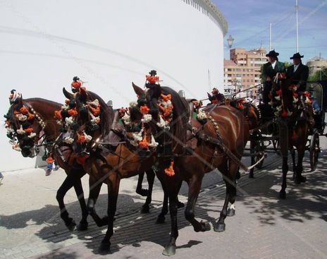 Calesa con cinco...
