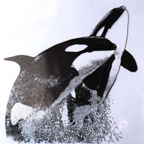 Orcas