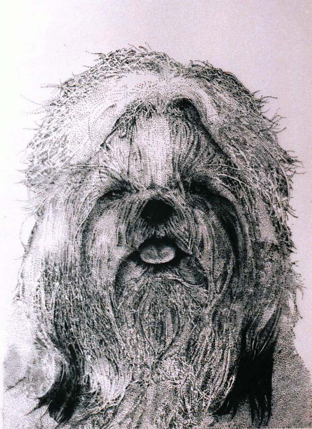 Perrito de señora adinerada