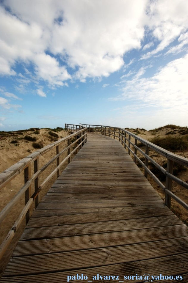 PASARELA SOBRE LA DUNA