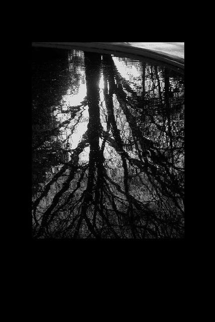 Raices ocultas