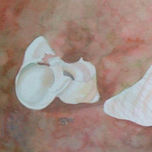 CARACOLES thumbnail 2