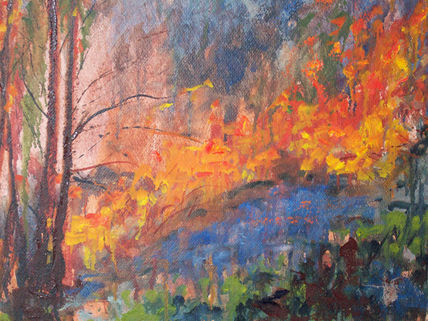 Incendio en el bosque