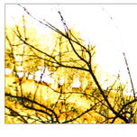 Arratzu (Urdaibai, Euskal Herria / País Vasco / Basque Country / Pays Basque) thumbnail 1