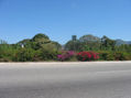 Paisaje de  la Autopista