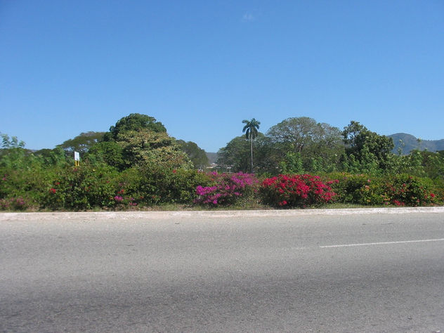 Paisaje de  la Autopista