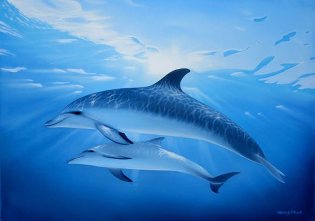 Delfines Óleo Lienzo