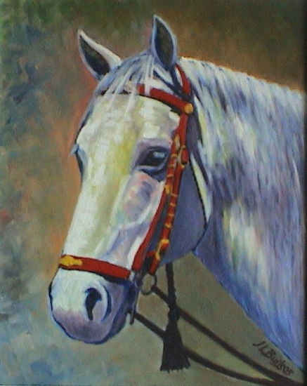 Pura Raza Española Oil Canvas Animals