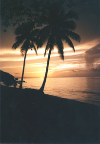Noche en puerto plata