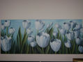 painel com tulipas