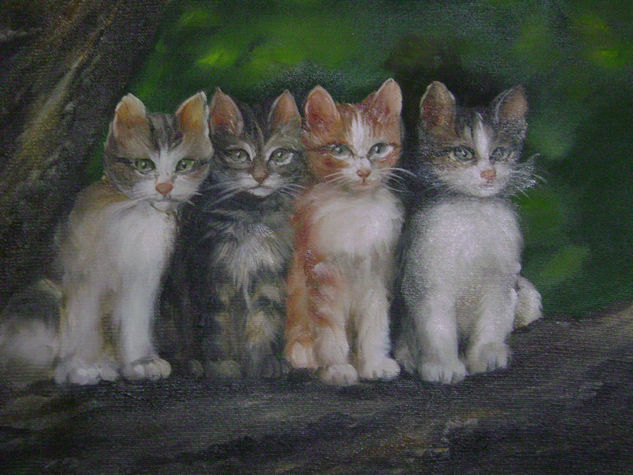 gatos Oil Canvas Animals