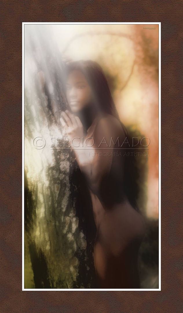 ENTRE LUCES Y SOMBRAS