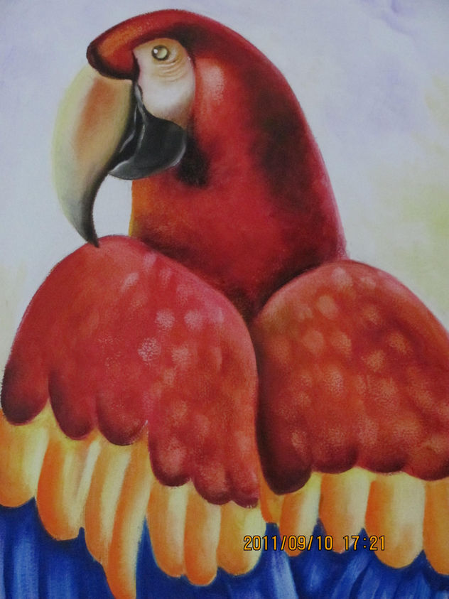 guacamaya