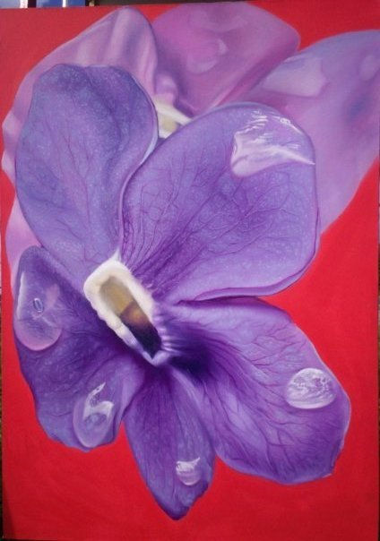 Flores silvestres