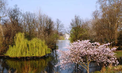 Primavera