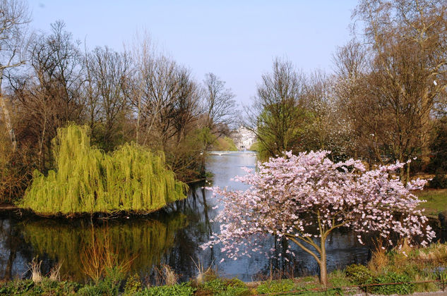 St. James Parck. Londres 