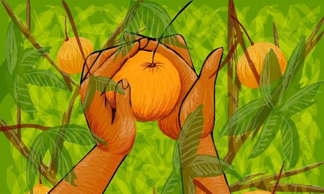 Pinturas rurais