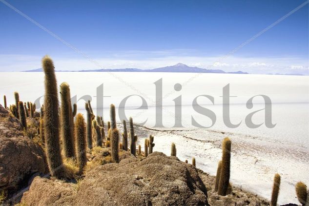 Salar de Uyuni desde Incahuasi Viajes Color (Digital)