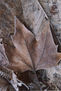 otoño- invierno