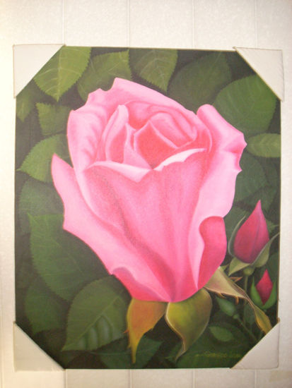 ROSA CON BOTONES Oil Canvas Floral Painting