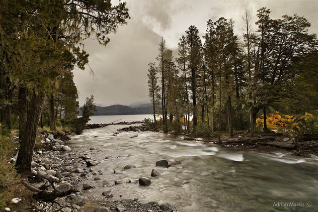 ¨ Manzano¨ de la serie Patagonia