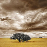 Patagonia thumbnail 1