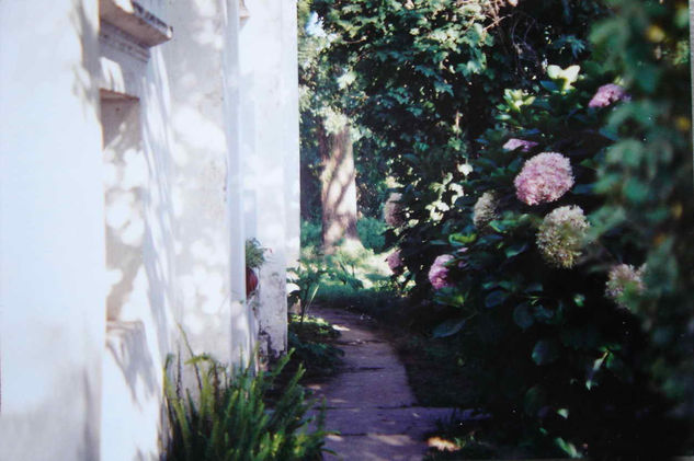 LAS HORTENSIAS AL SUR Nature Color (Manual)