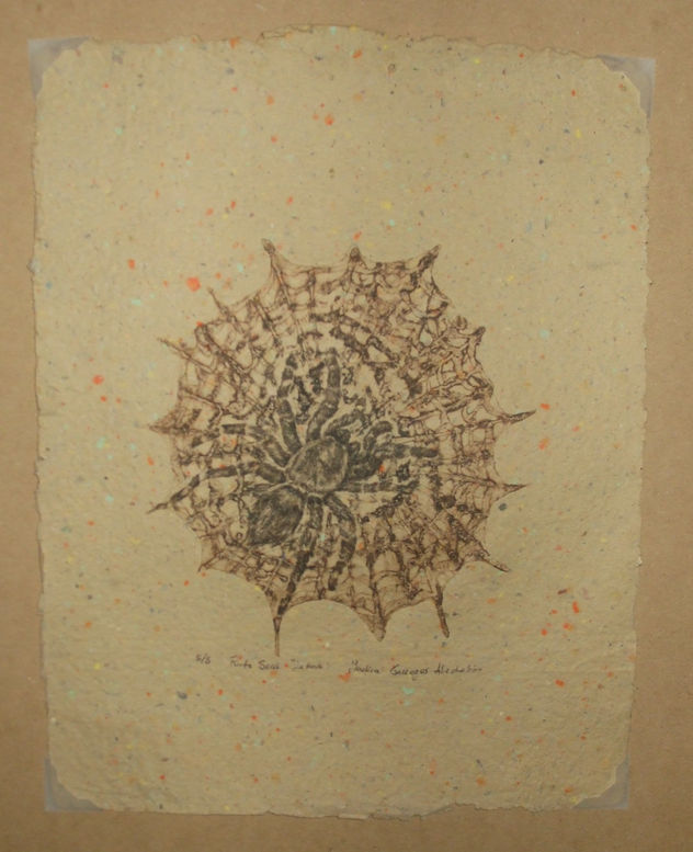 la araña