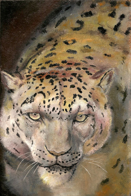 Leopardo de las nieves