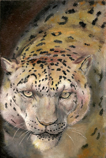 Leopardo de las nieves 