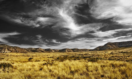 Patagonia