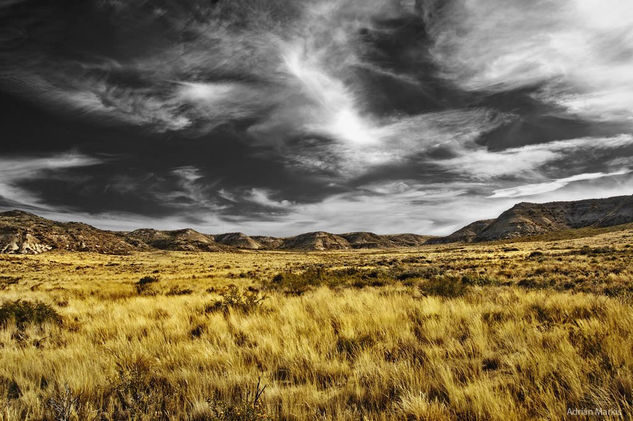 ¨ Amarillo ¨ de la serie Patagonia 