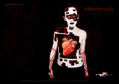 sensaciones bodypaint 5