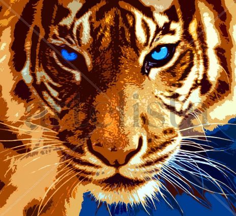 Blue Eyes
