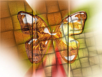 The Gold Butterfly