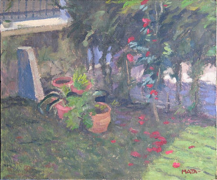 Camelia