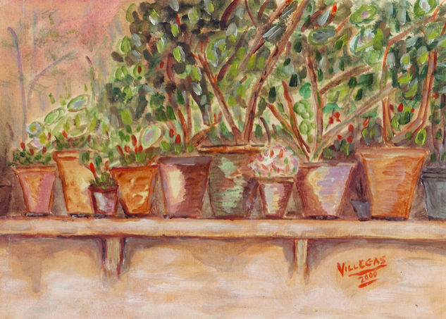 Macetas flores Oil Card Landscaping