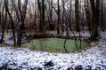 Lago verde y blanco