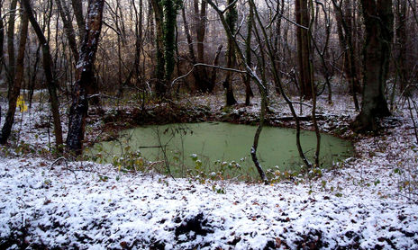 Invierno