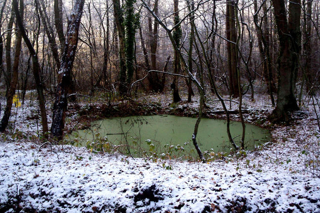 Lago verde y blanco Naturaleza Color (Digital)