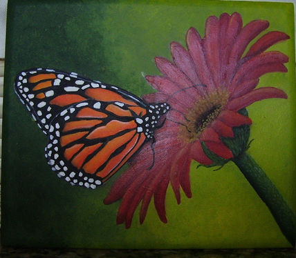 Caja  mariposa