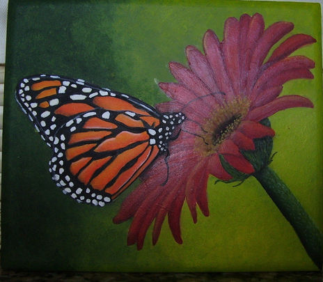 Caja  mariposa